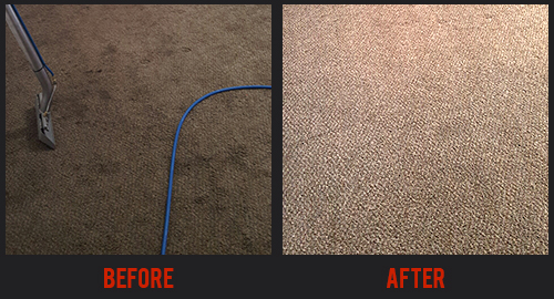 Before and After Carpet Cleaning