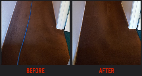 Before and After Carpet Cleaning
