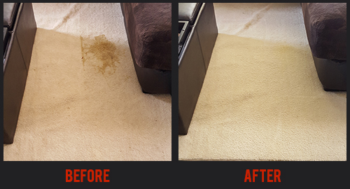Before and After Carpet Cleaning