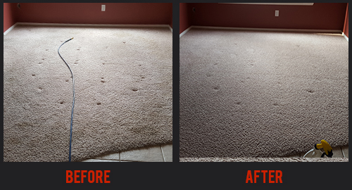 Before and After Carpet Cleaning