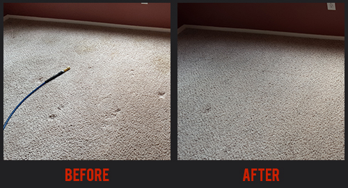 Before and After Carpet Cleaning