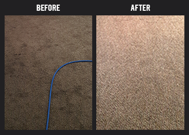 Carpet Cleaning