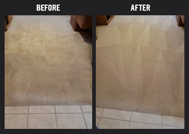 Carpet Cleaning Services