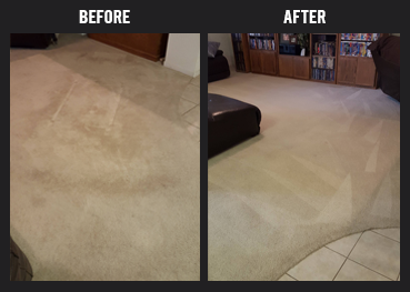 Carpet Cleaning Services