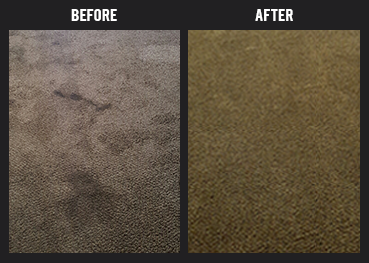 Carpet Cleaning