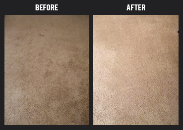 Carpet Cleaning