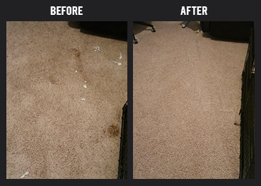 Carpet Cleaning