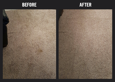 Carpet Cleaning