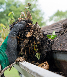 Gutter Cleaning